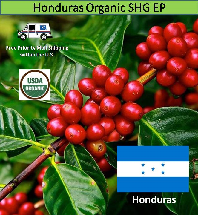 Café en grains Honduras SHG Bio 250g - GREEN COFFEE - GC90302 
